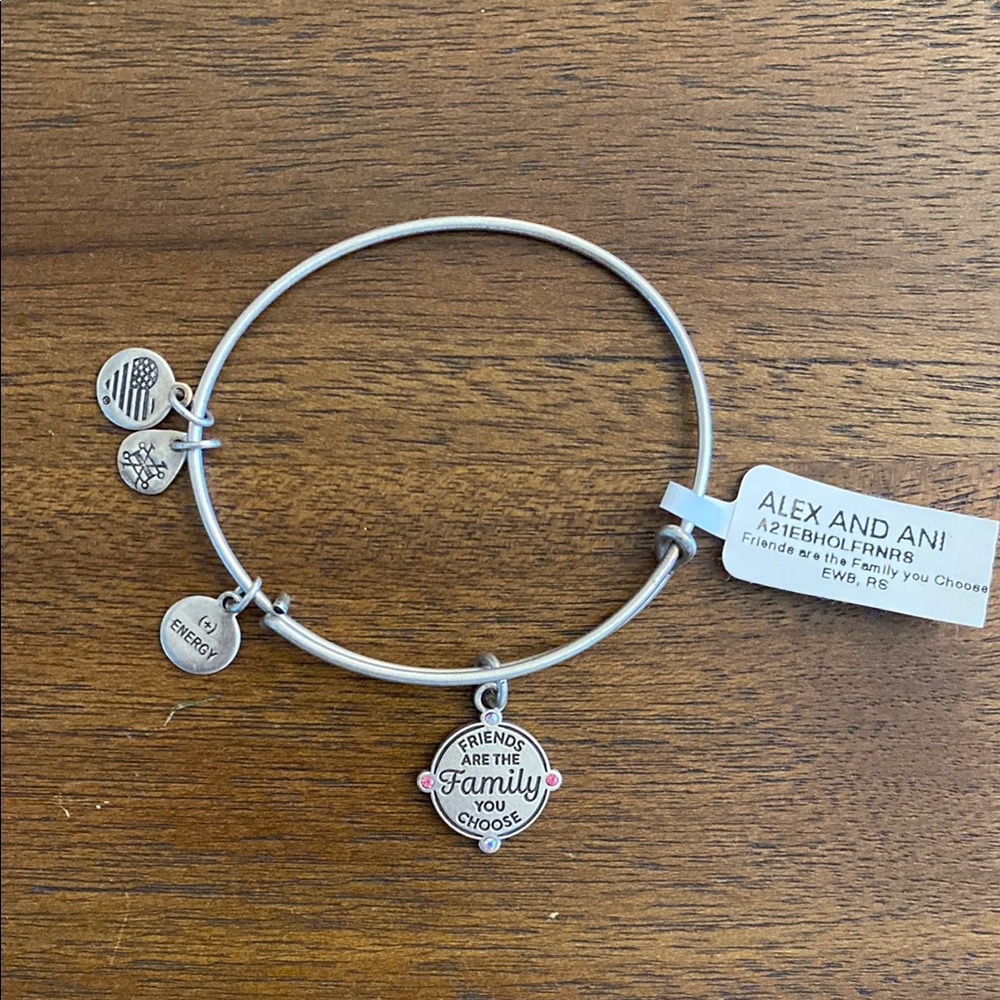 Alex and Ani Silver Bangle with Charms